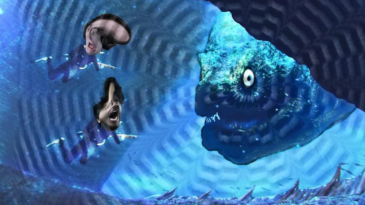 166 - Don't Go in the Ocean... Ever.